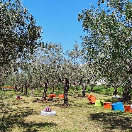 Colline Del Sole Bed and Breakfast San Salvo Buitenkant foto